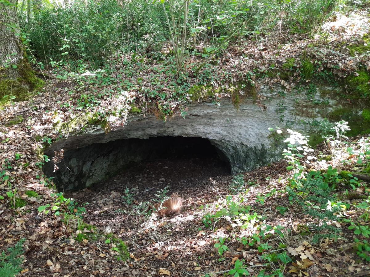 Ferme Des Petites Oreilles 4 Etoiles Montignac-Lascaux Exteriér fotografie