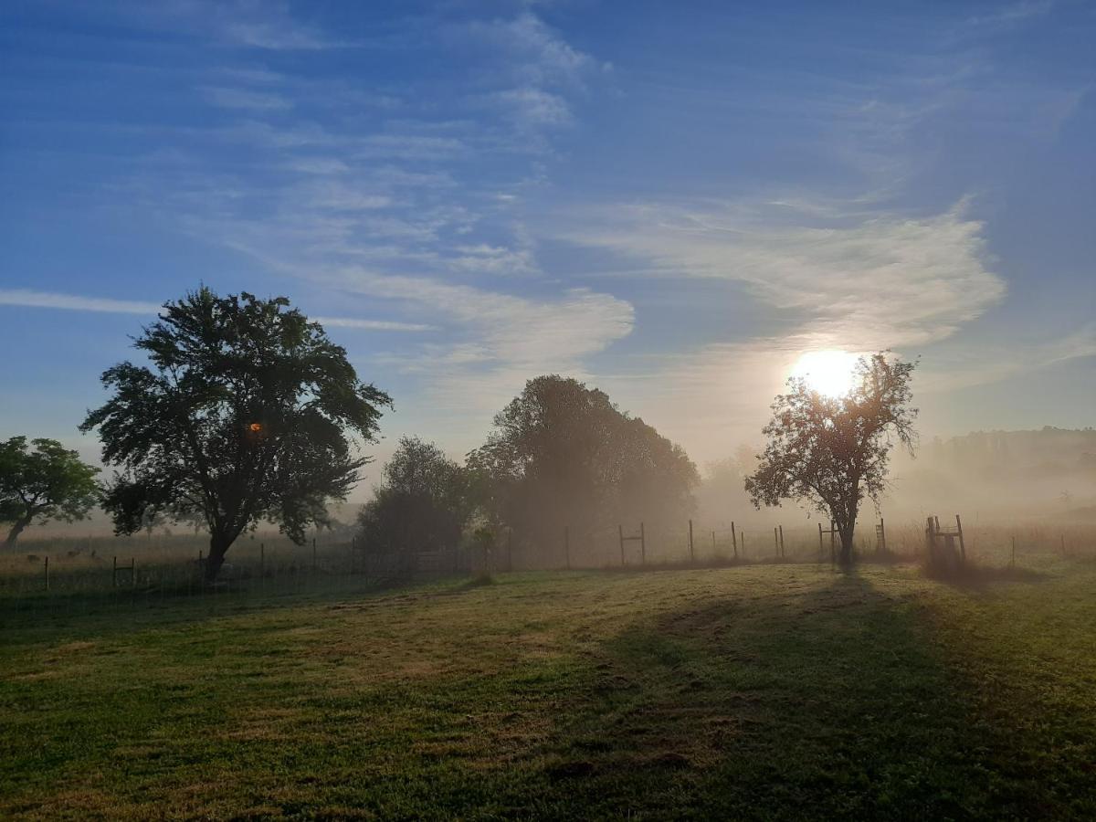 Ferme Des Petites Oreilles 4 Etoiles Montignac-Lascaux Exteriér fotografie