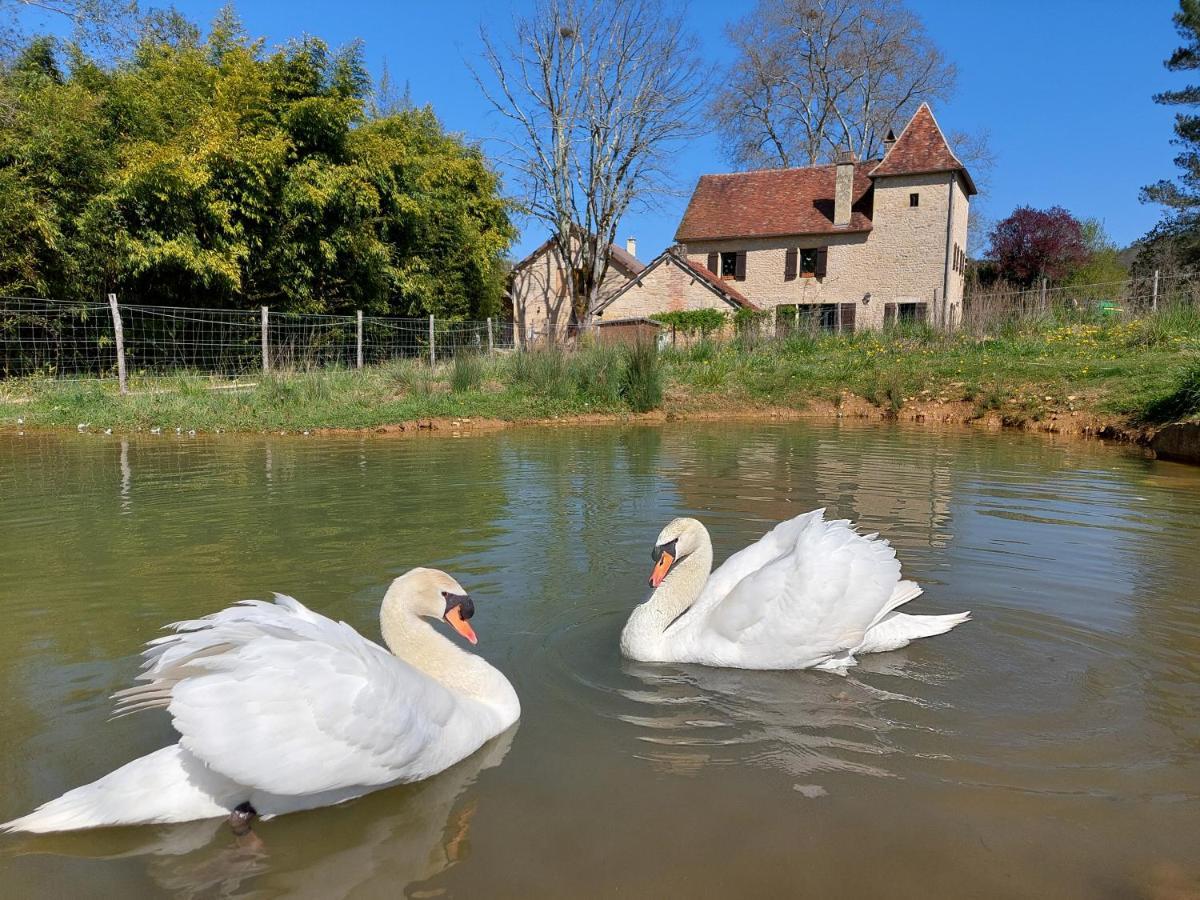 Ferme Des Petites Oreilles 4 Etoiles Montignac-Lascaux Exteriér fotografie